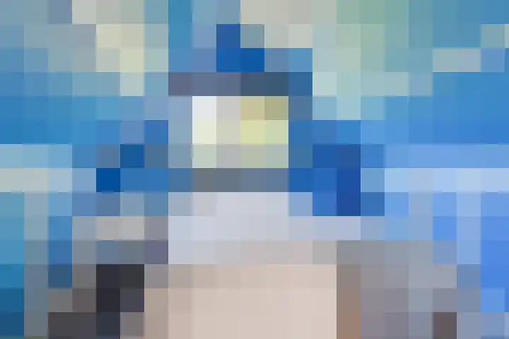 Ligthof 16 Tuitjenhorn thumbnail 22
