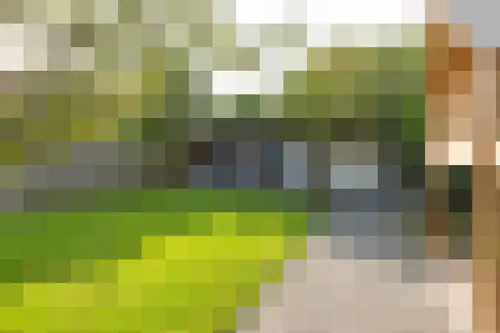 Ligthof 16 Tuitjenhorn thumbnail 24