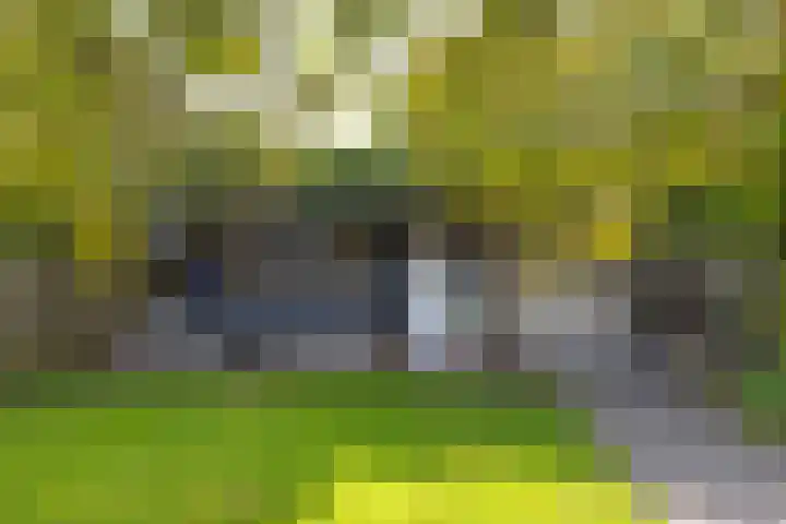 Ligthof 16 Tuitjenhorn thumbnail 25