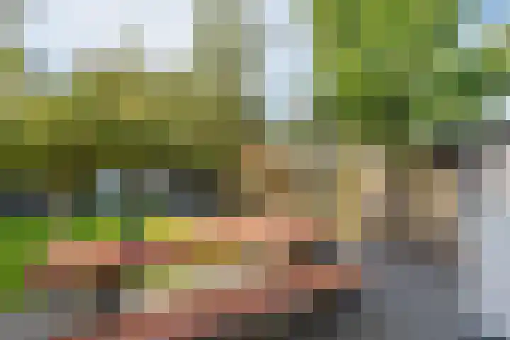 Ligthof 16 Tuitjenhorn thumbnail 28