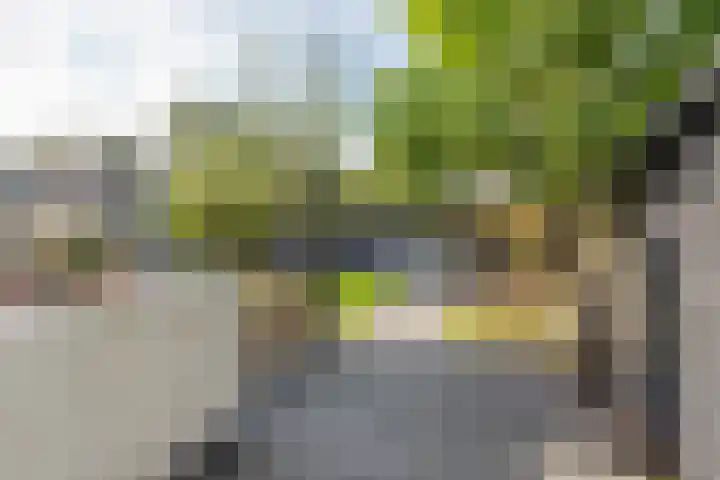 Ligthof 16 Tuitjenhorn thumbnail 29