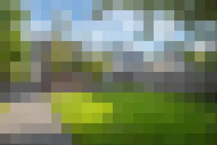 Ligthof 16 Tuitjenhorn thumbnail 32