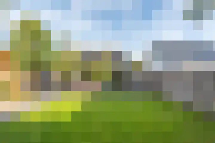 Ligthof 16 Tuitjenhorn thumbnail 33