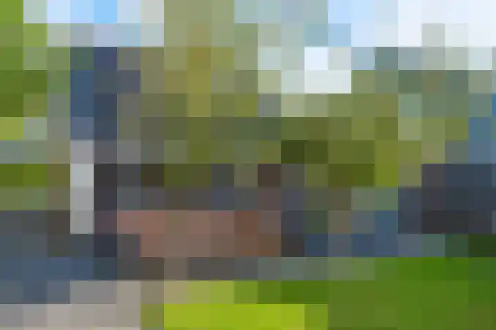 Ligthof 16 Tuitjenhorn thumbnail 35