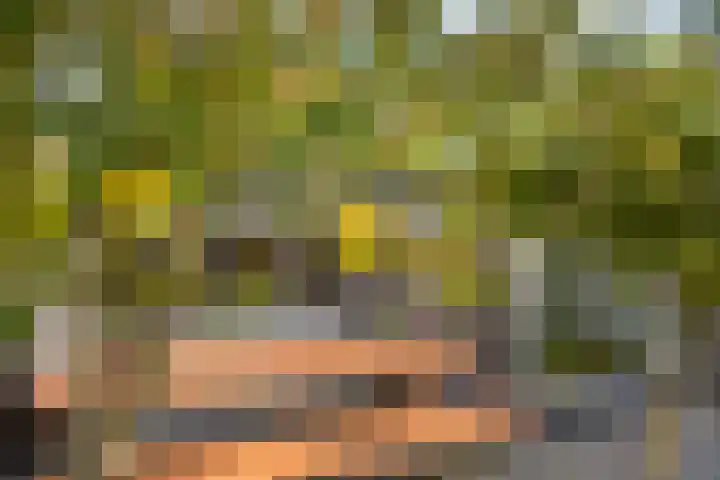 Ligthof 16 Tuitjenhorn thumbnail 36
