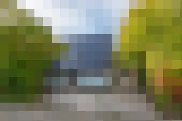 Ligthof 16 Tuitjenhorn thumbnail 4