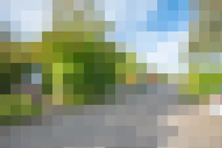 Ligthof 16 Tuitjenhorn thumbnail 40