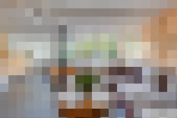 Ligthof 16 Tuitjenhorn thumbnail 6