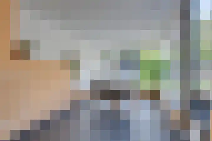 Ligthof 16 Tuitjenhorn thumbnail 8