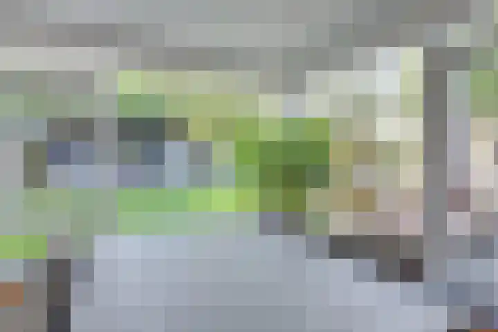 Ligthof 16 Tuitjenhorn thumbnail 9