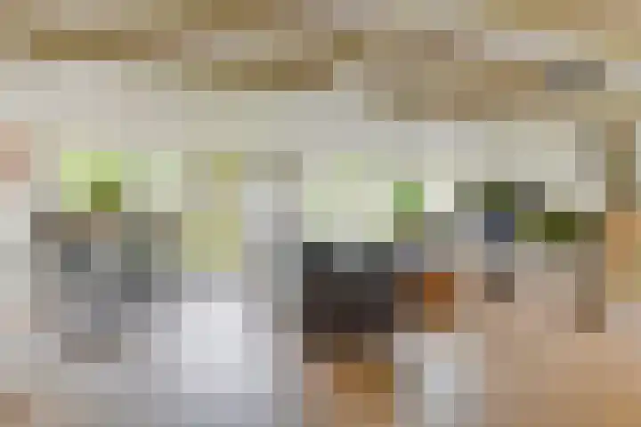 Ligthof 23 Tuitjenhorn thumbnail 10