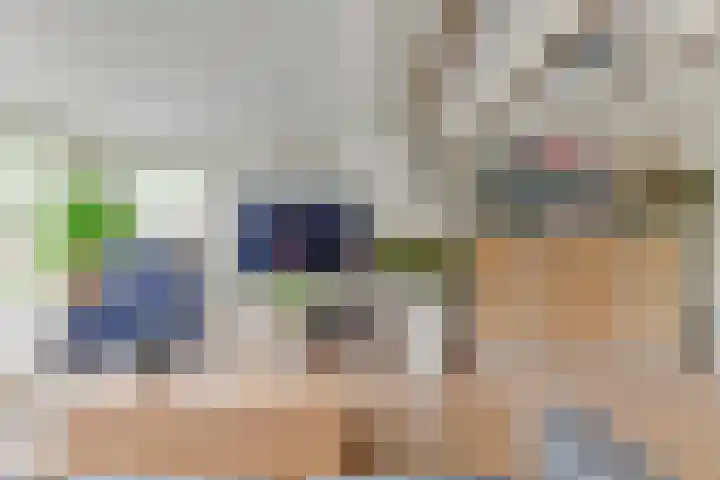 Ligthof 23 Tuitjenhorn thumbnail 11