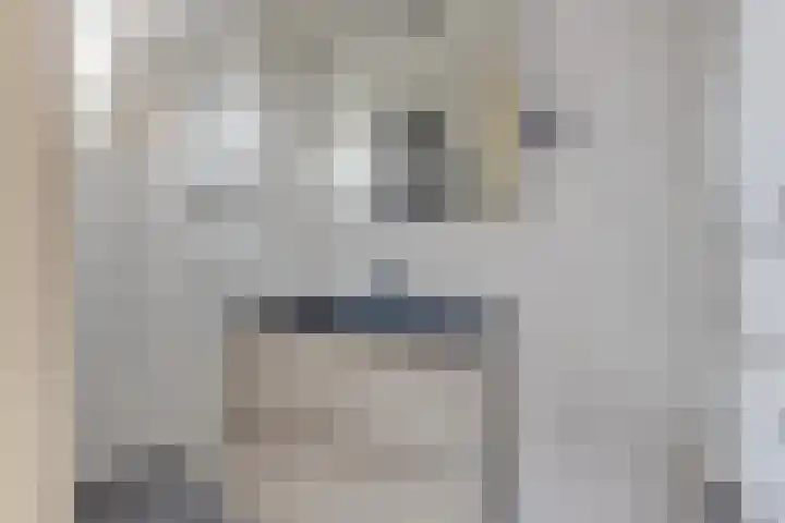 Ligthof 23 Tuitjenhorn thumbnail 17
