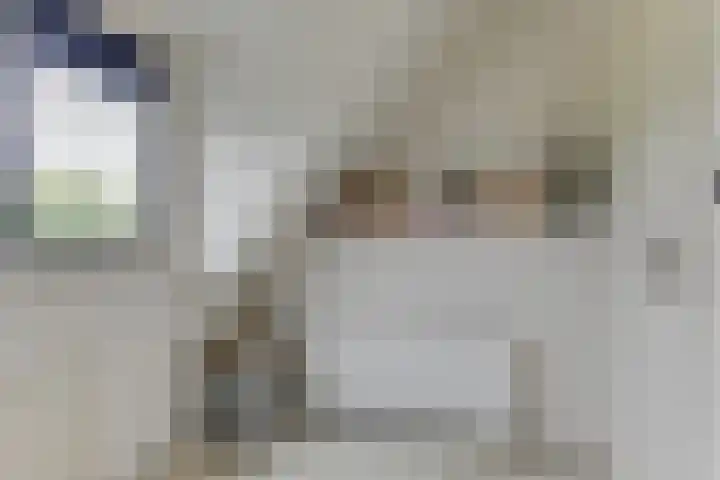 Ligthof 23 Tuitjenhorn thumbnail 22