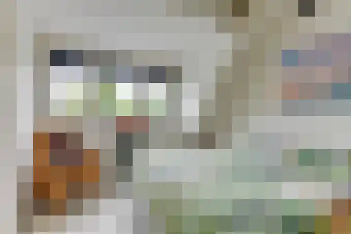 Ligthof 23 Tuitjenhorn thumbnail 25