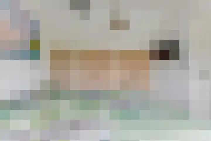 Ligthof 23 Tuitjenhorn thumbnail 26