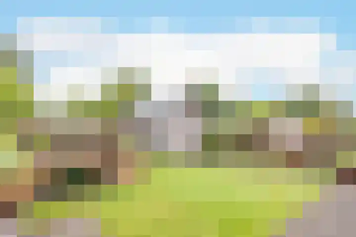 Ligthof 23 Tuitjenhorn thumbnail 27