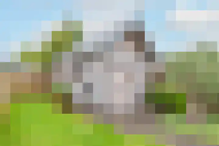 Ligthof 23 Tuitjenhorn thumbnail 28