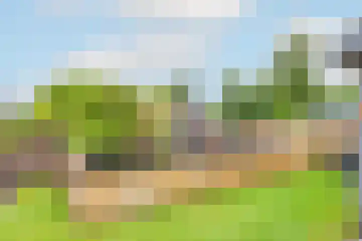 Ligthof 23 Tuitjenhorn thumbnail 29
