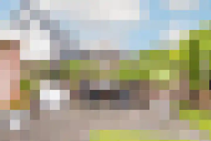 Ligthof 23 Tuitjenhorn thumbnail 32
