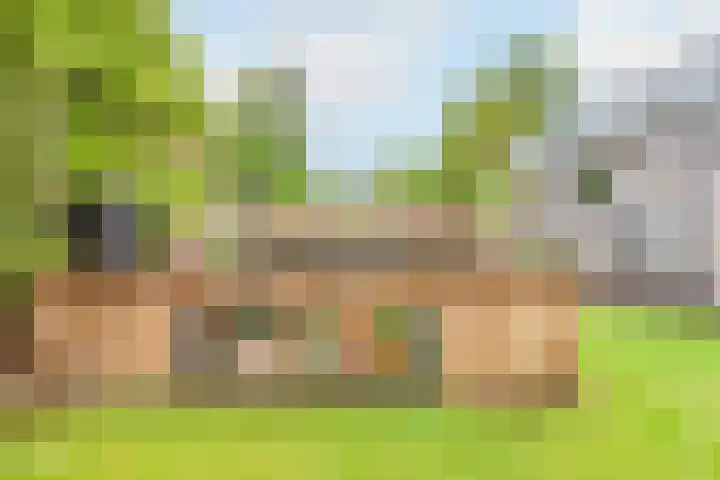 Ligthof 23 Tuitjenhorn thumbnail 33