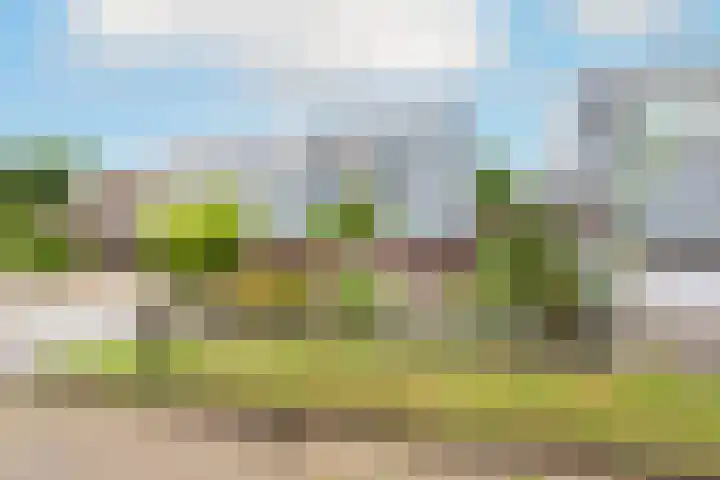 Ligthof 23 Tuitjenhorn thumbnail 5