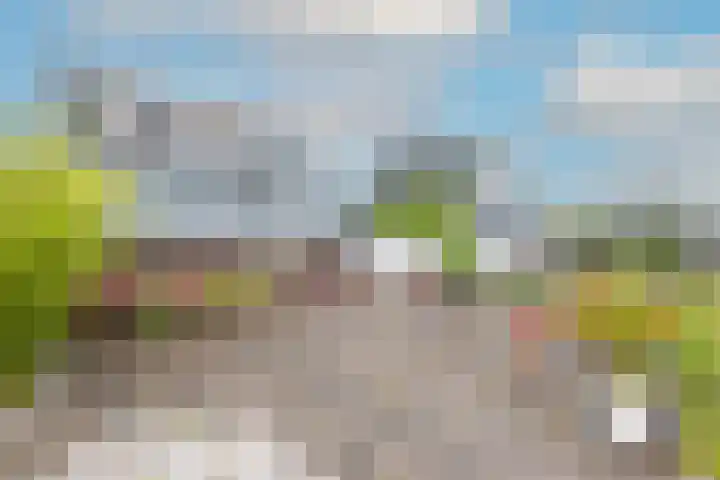 Ligthof 23 Tuitjenhorn thumbnail 6