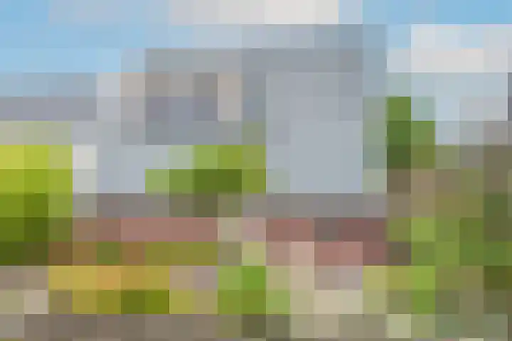 Ligthof 23 Tuitjenhorn thumbnail 7
