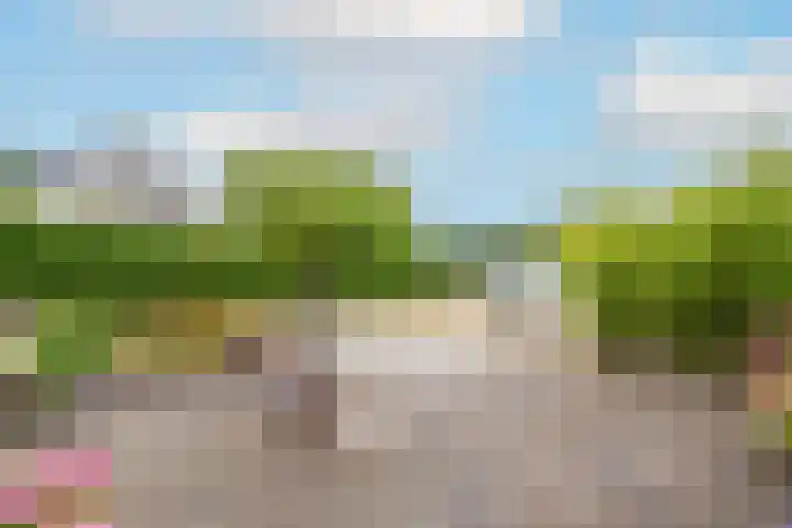 Ligthof 23 Tuitjenhorn thumbnail 8