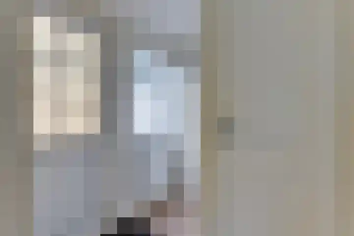 Ligthof 23 Tuitjenhorn thumbnail 9
