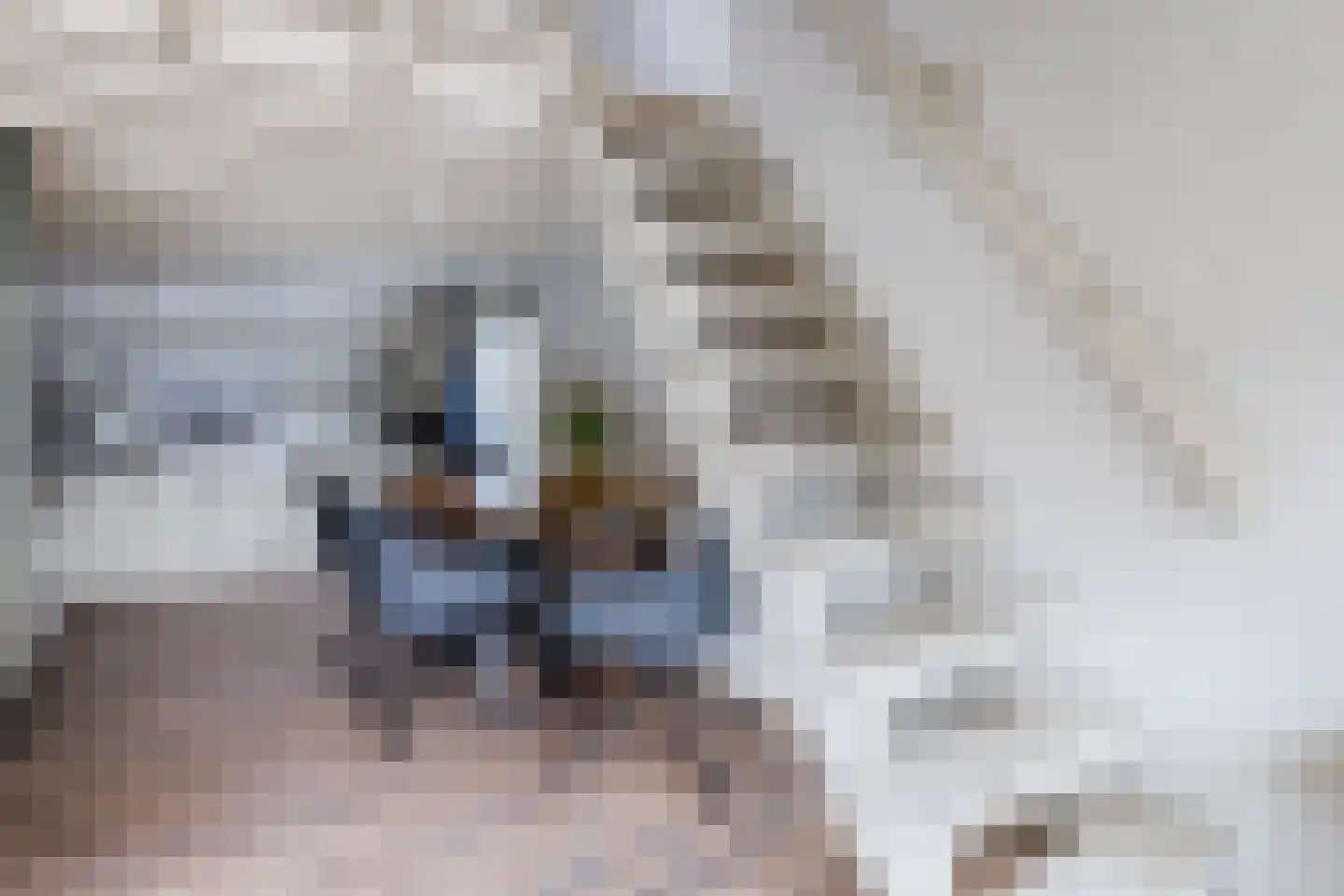 Ligthof 8 Tuitjenhorn thumbnail 10