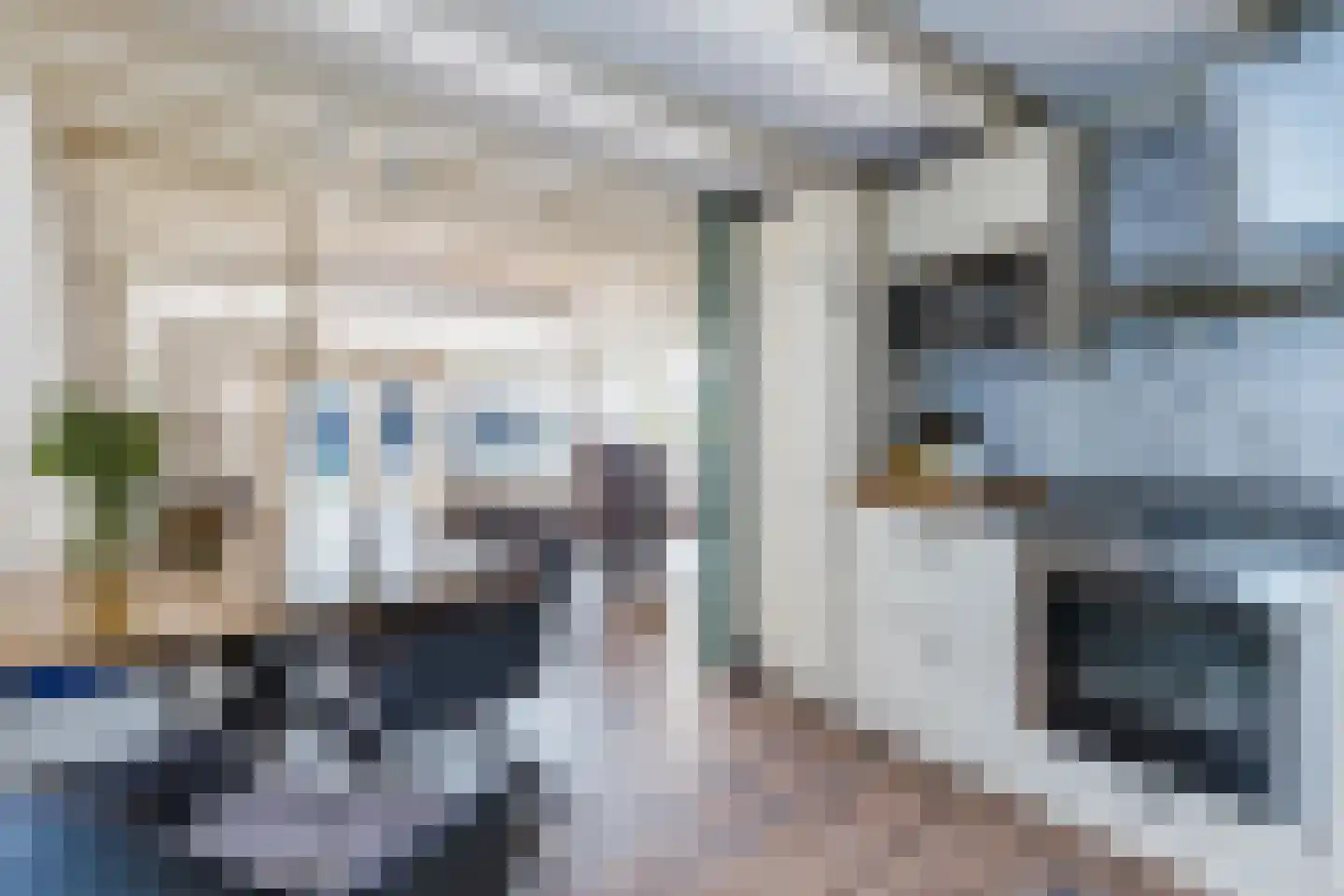 Ligthof 8 Tuitjenhorn thumbnail 11