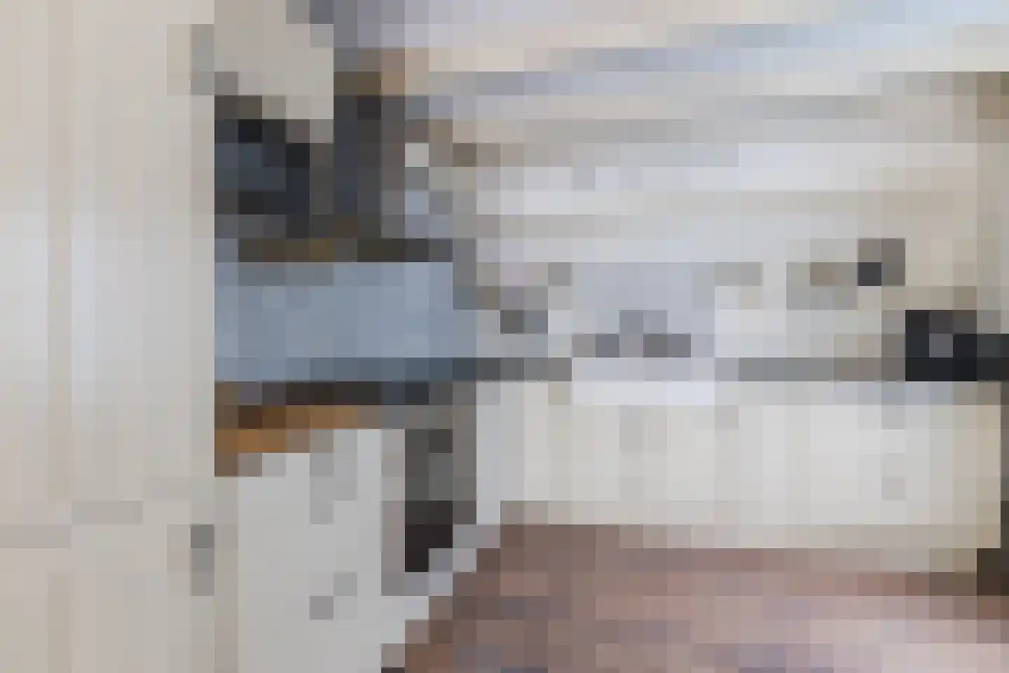 Ligthof 8 Tuitjenhorn thumbnail 12
