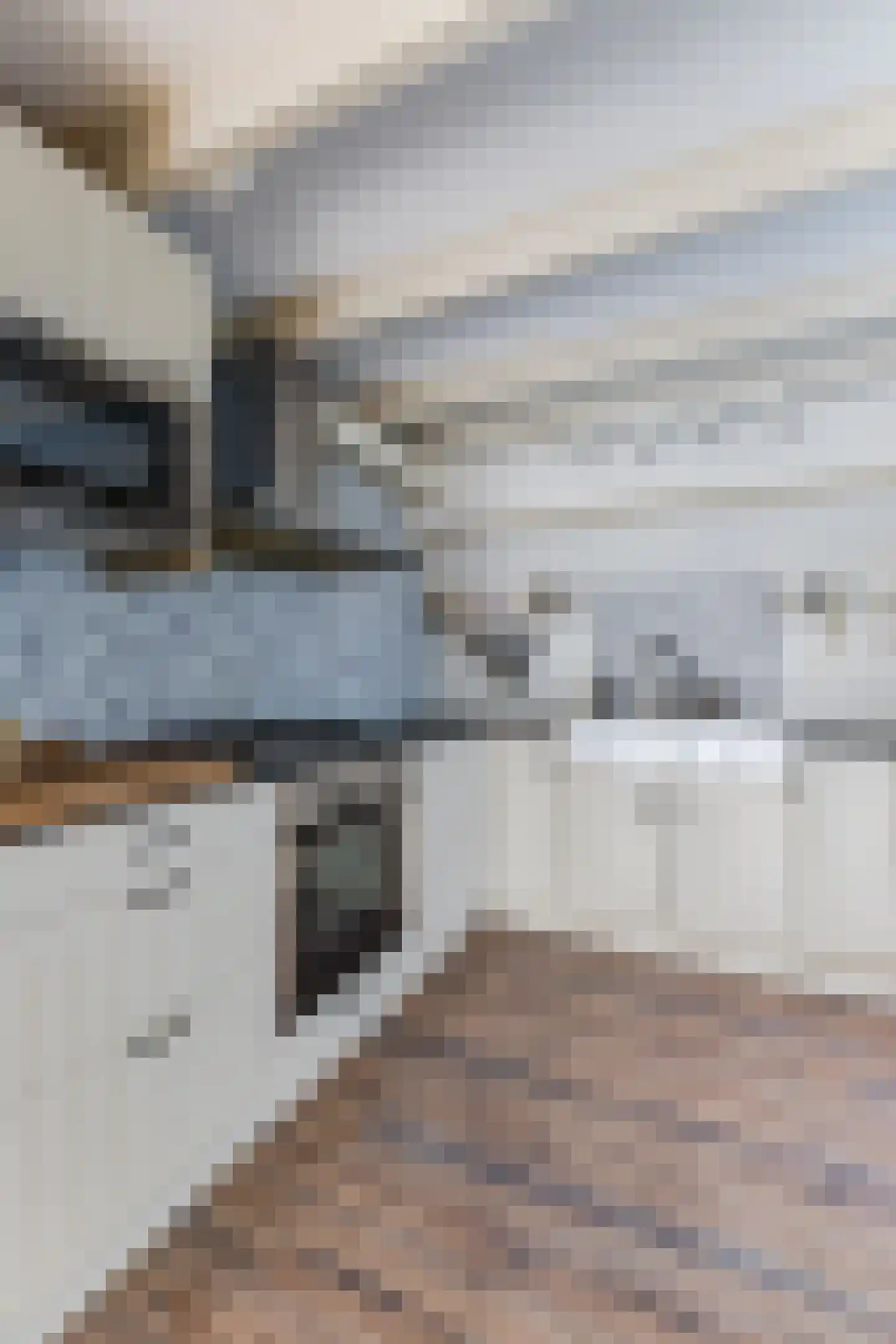 Ligthof 8 Tuitjenhorn thumbnail 13