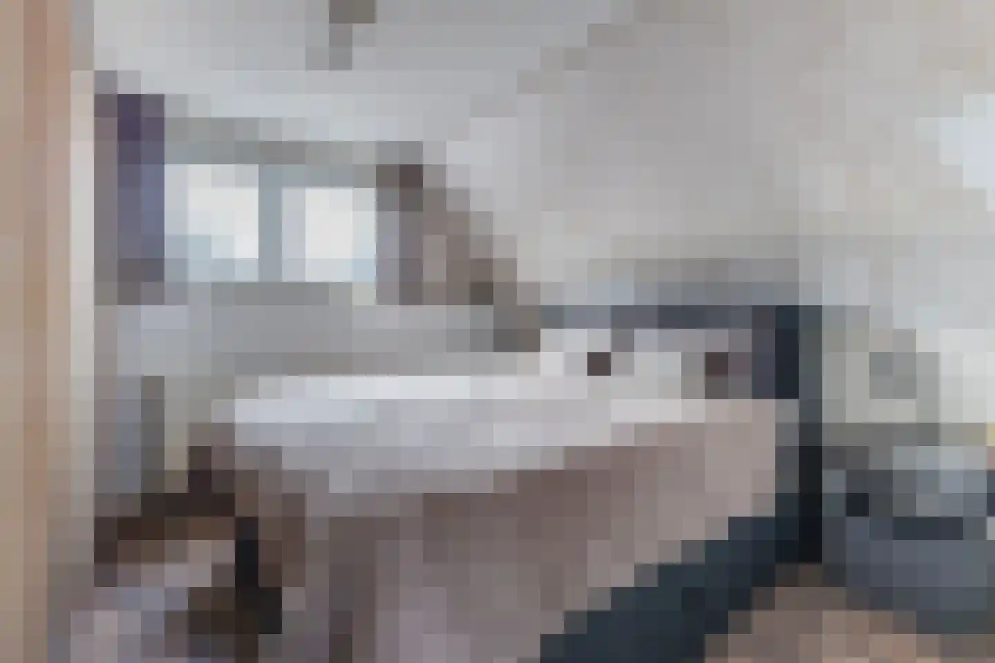 Ligthof 8 Tuitjenhorn thumbnail 14