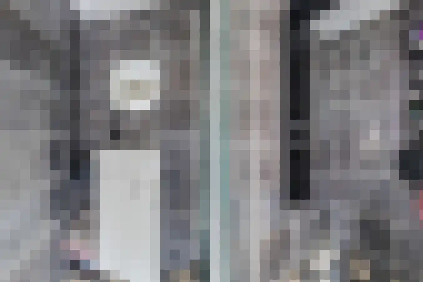 Ligthof 8 Tuitjenhorn thumbnail 16