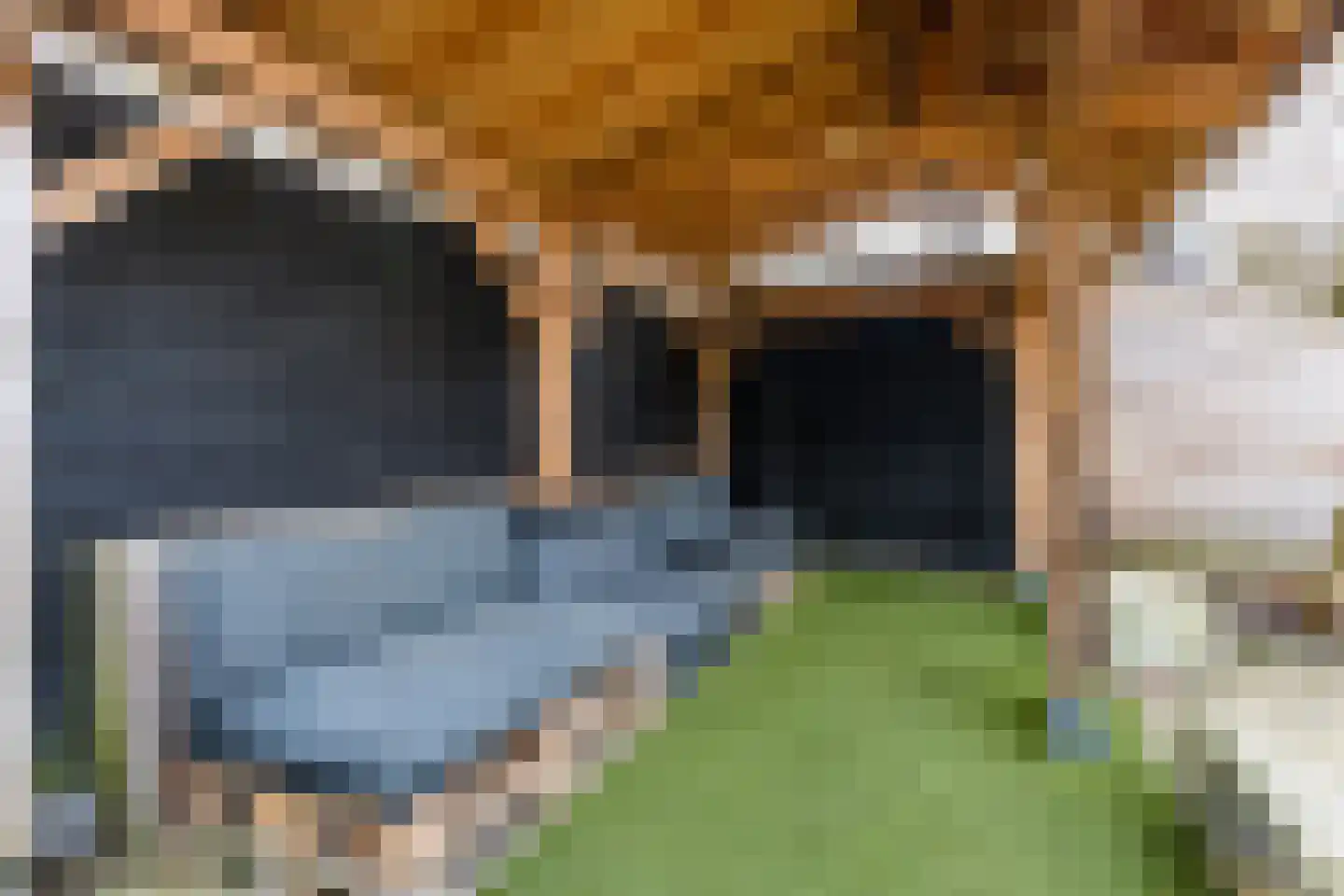 Ligthof 8 Tuitjenhorn thumbnail 18