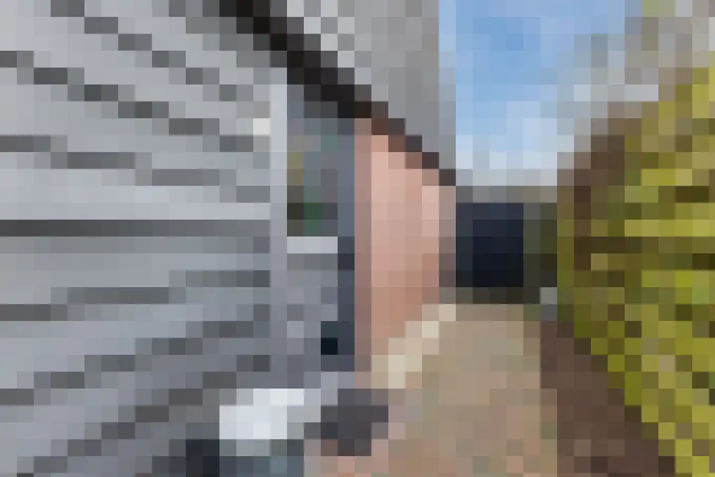 Ligthof 8 Tuitjenhorn thumbnail 4