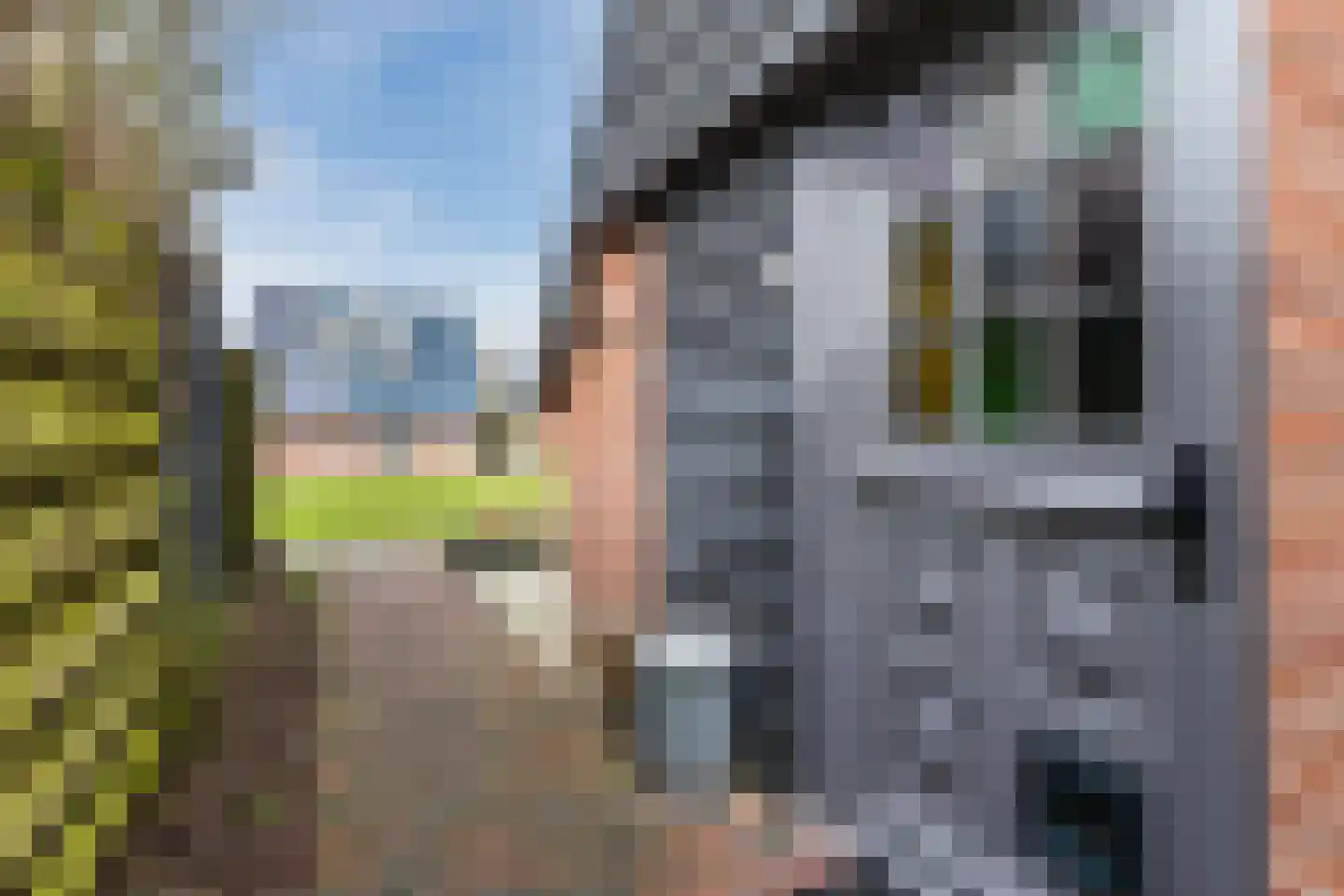 Ligthof 8 Tuitjenhorn thumbnail 5