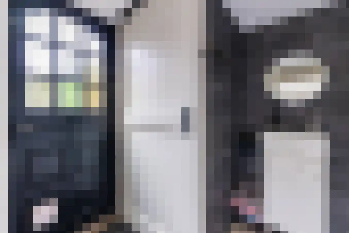 Ligthof 8 Tuitjenhorn thumbnail 6