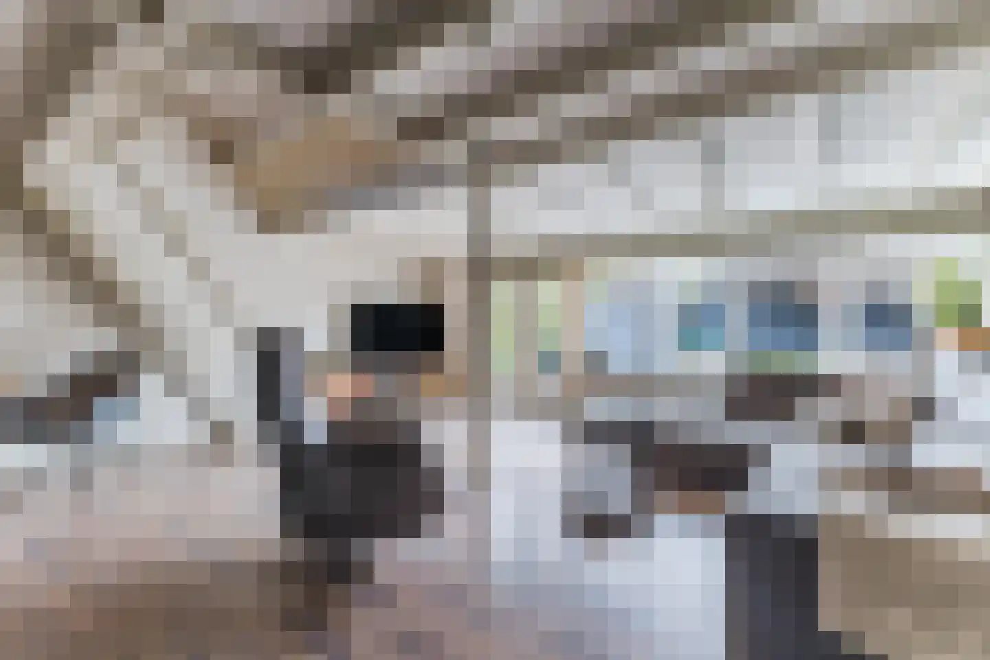 Ligthof 8 Tuitjenhorn thumbnail 8
