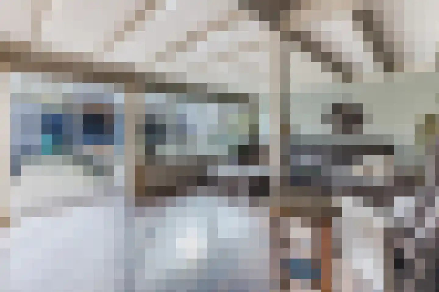 Ligthof 8 Tuitjenhorn thumbnail 9