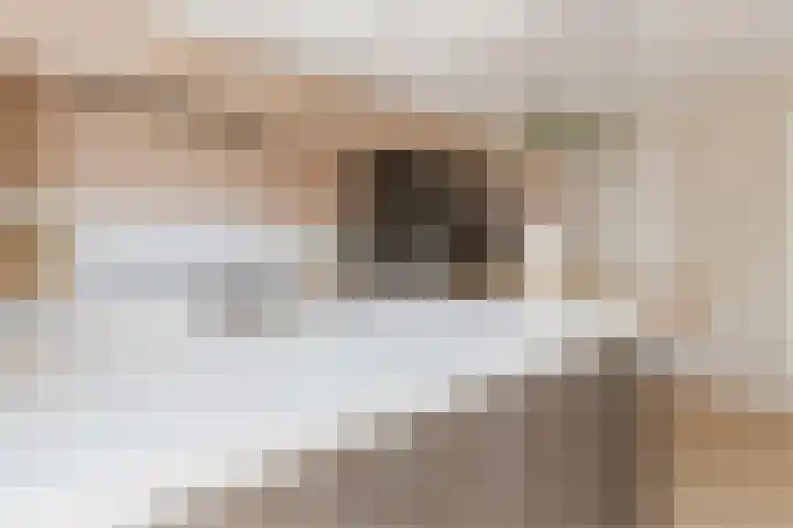 Ligtsedreef 21 Nuenen thumbnail 12