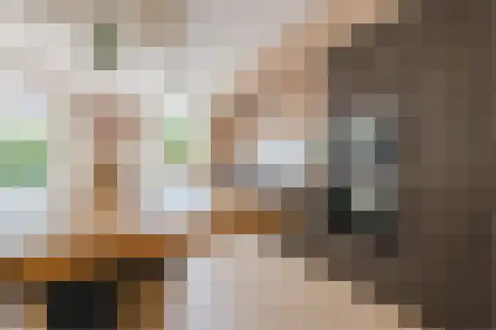 Ligtsedreef 21 Nuenen thumbnail 14