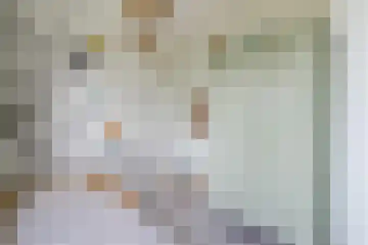 Ligtsedreef 21 Nuenen thumbnail 21