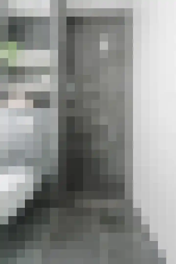 Ligtsedreef 21 Nuenen thumbnail 25
