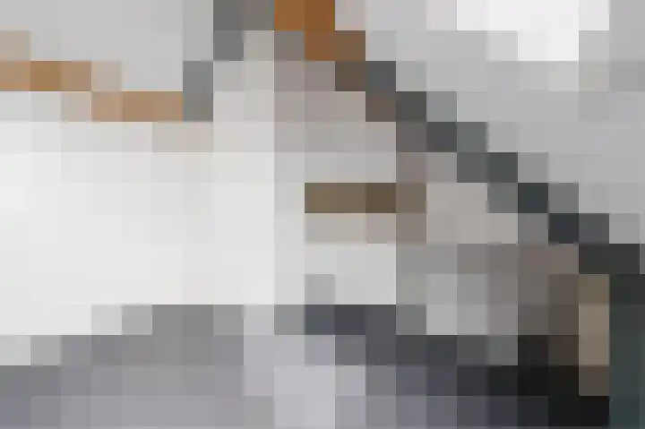 Ligtsedreef 21 Nuenen thumbnail 32