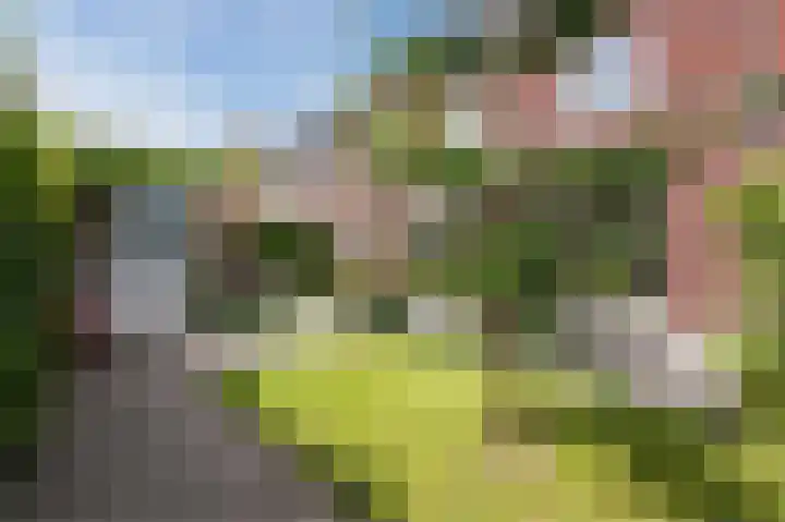 Ligtsedreef 21 Nuenen thumbnail 37