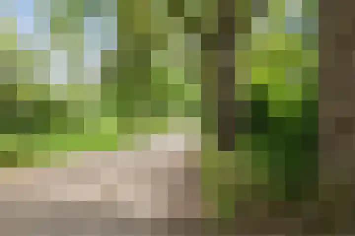 Ligtsedreef 21 Nuenen thumbnail 43