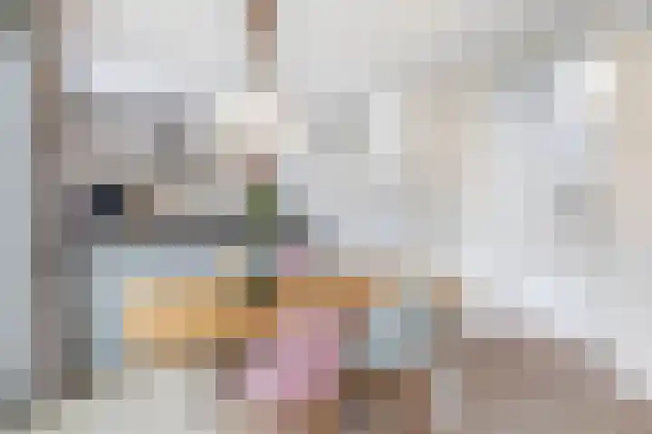 Ligtsedreef 22 Nuenen thumbnail 12